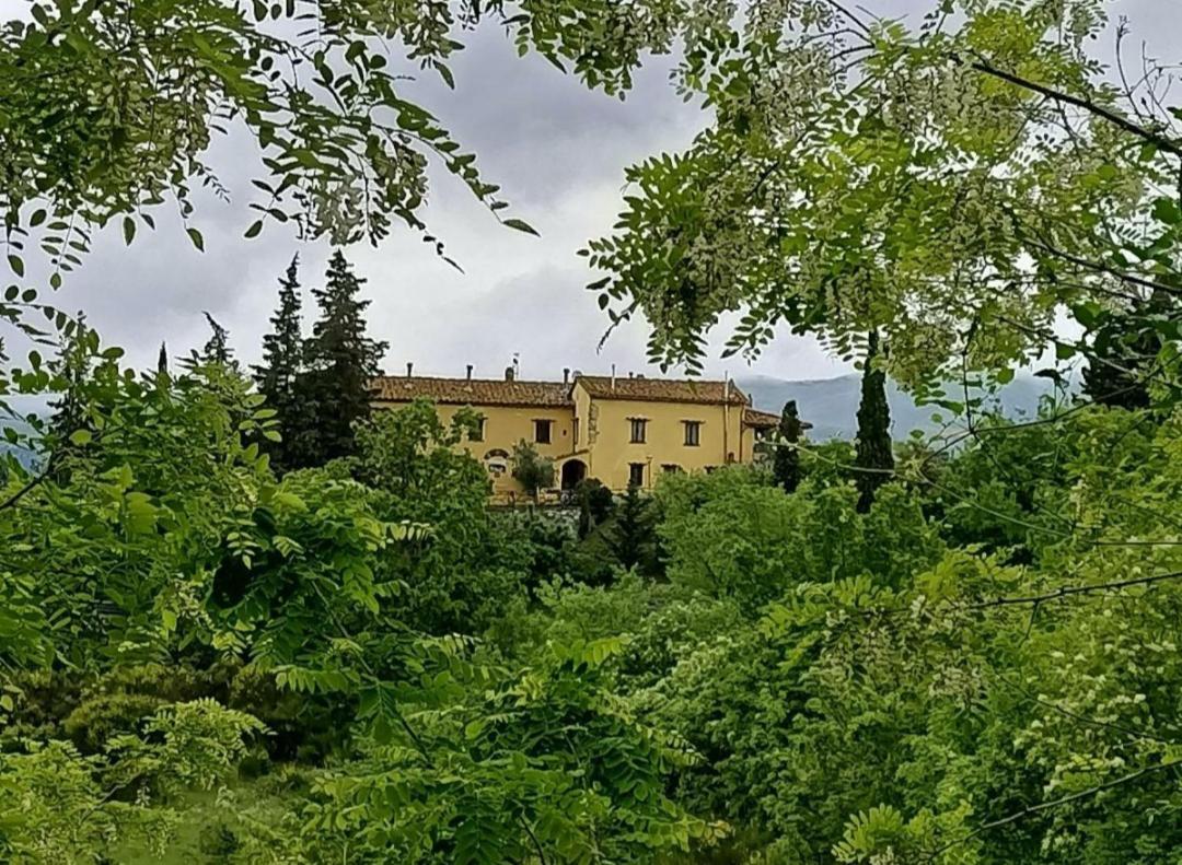 San Martino Country Villa B&B 巴贝里诺·迪·穆杰罗 外观 照片